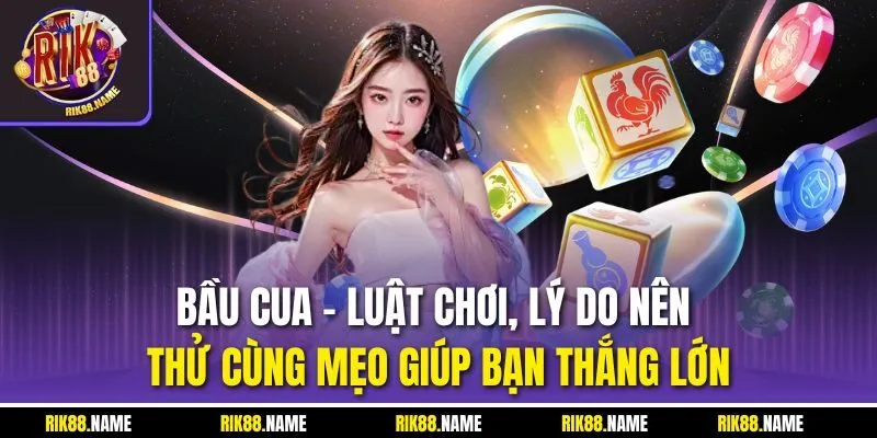 Bầu Cua | Luật Chơi, Lý Do Nên Thử Cùng Mẹo Giúp Bạn Thắng Lớn