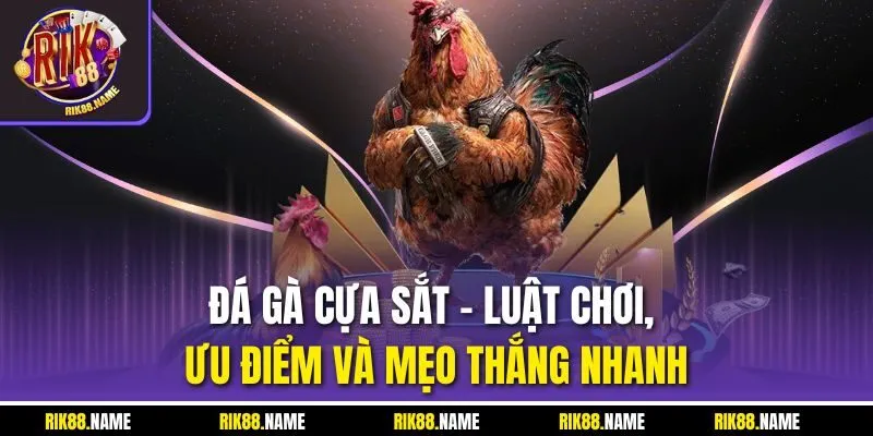 Đá Gà Cựa Sắt | Luật Chơi, Ưu Điểm Và Mẹo Thắng Nhanh