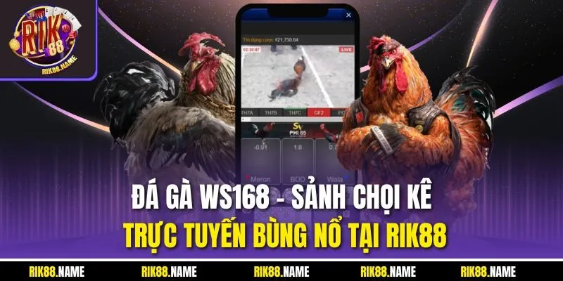 Đá Gà Ws168 | Sảnh Chọi Kê Trực Tuyến Bùng Nổ Tại Rik88