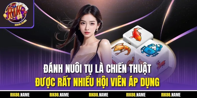 Đánh nuôi tụ là chiến thuật được rất nhiều hội viên áp dụng 