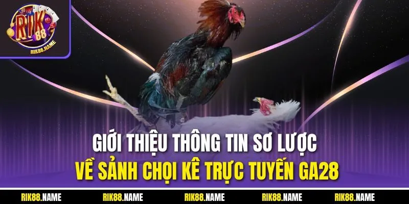 Giới thiệu thông tin sơ lược về sảnh chọi kê trực tuyến GA28