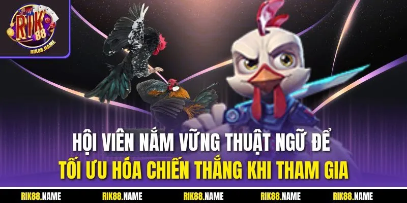 Hội viên nắm vững thuật ngữ để tối ưu hóa chiến thắng khi tham gia