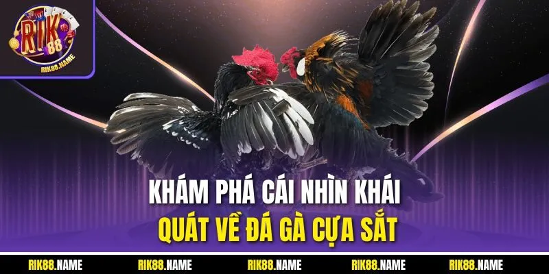 Khám phá cái nhìn khái quát về đá gà cựa sắt