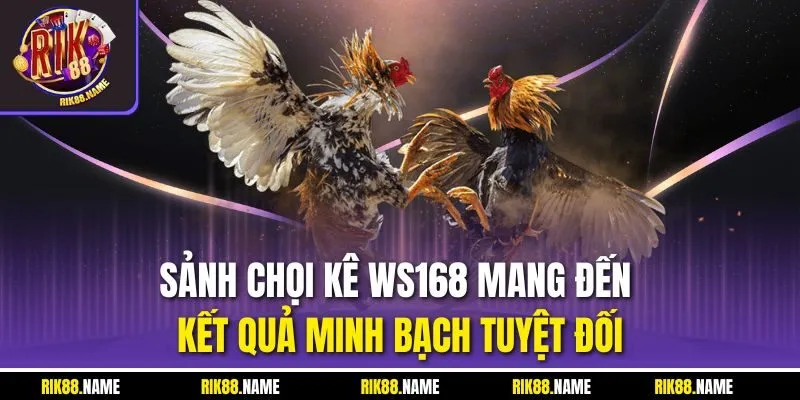 Sảnh chọi kê WS168 mang đến kết quả minh bạch tuyệt đối