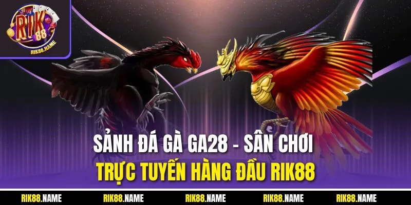 Sảnh Đá Gà GA28 - Sân Chơi Trực Tuyến Hàng Đầu RIK88