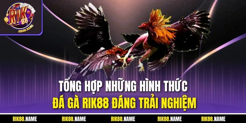 Tổng hợp những hình thức đá gà RIK88 đáng trải nghiệm