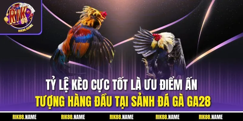 Tỷ lệ kèo cực tốt là ưu điểm ấn tượng hàng đầu tại sảnh đá gà GA28